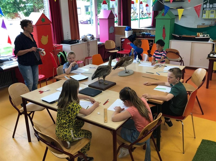 Leren tekenen